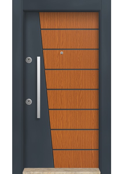 MN-6010 Dış Iklim Kapısı Yağmur'a ve Güneşe Dayanıklı Çelik Kapı