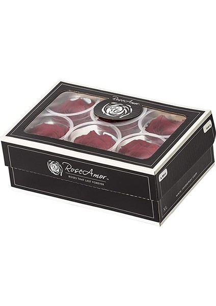 Red-01 Koyu Kırmızı Şoklanmış Solmaz Gül Xl