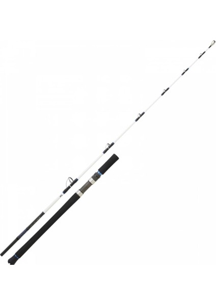 Saltist Vertical Jigging Iı 185 cm 100-300 gr 2 Parça Jig Olta Kamışı fiyatları