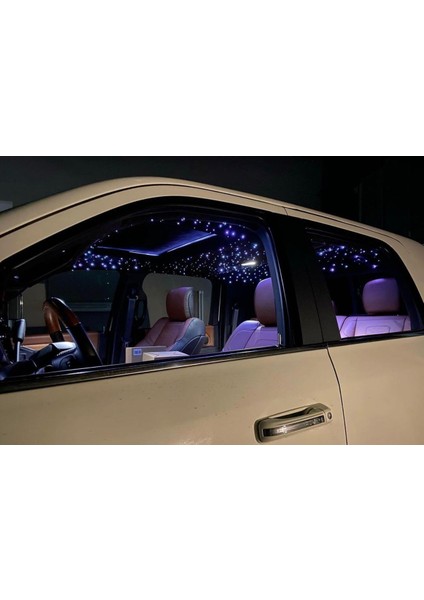 LED Işık Kaynağı