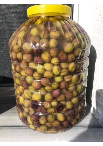 Ev Yapımı Yeşil Suda Zeytin 1 kg