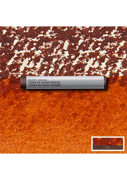 Professional Sulu Boya Çubuk Burnt Sienna 074 S.1