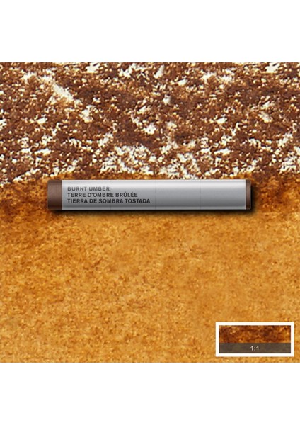 Professional Sulu Boya Çubuk Burnt Umber 076 S.1