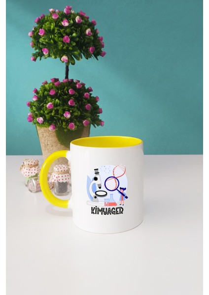 Kimyagere Hediye Kimyager Sarı Kupa Bardak Anahtarlık fiyatları