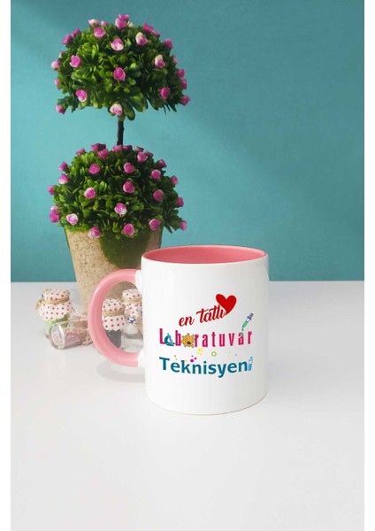 En Tatlı Laboratuvar Teknisyeni Hediye Pembe Kupa Bardak Anahtarlık fiyatları