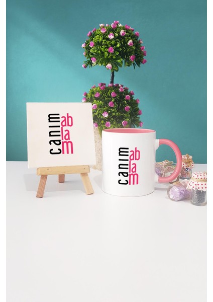 Ablaya Hediye Canım Ablam Pembe Kupa Bardak Dekoratif Taş