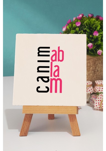 Ablaya Hediye Canım Ablam Pembe Kupa Bardak Dekoratif Taş indirimleri