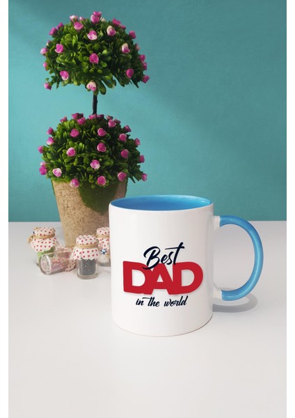 Best Dad In The World Babaya Hediye Mavi Kupa Bardak Kalemlik Anahtarlık