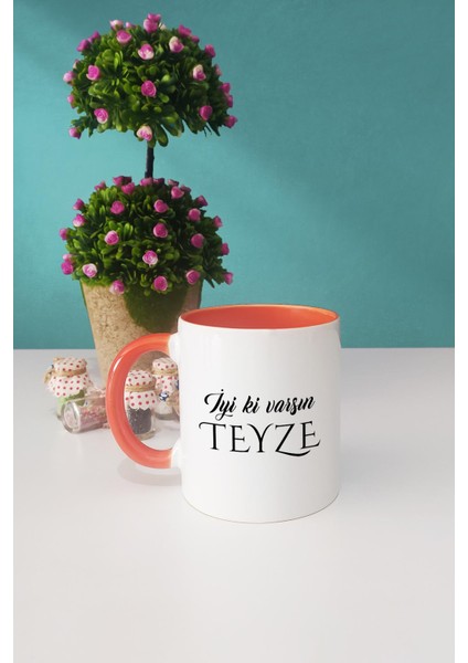 Iyi Ki Varsın Teyze Teyzeye Hediye Turuncu Kupa Bardak Kalemlik modelleri