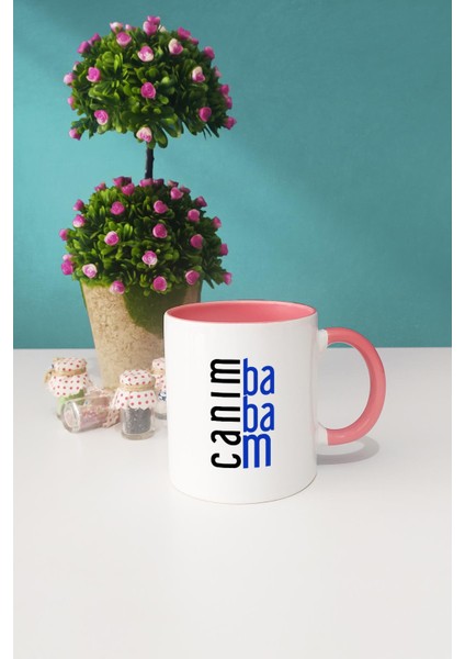 Babaya Hediye Canım Babam Pembe Kupa Bardak Anahtarlık modelleri