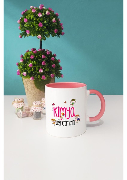 Kimya Öğretmeni Hediye Pembe Kupa Bardak Kalemlik modelleri