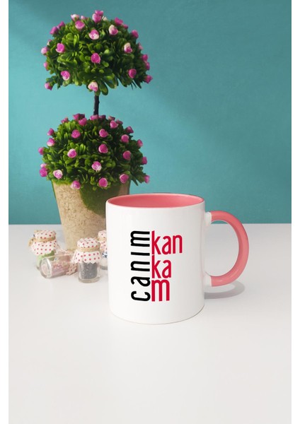 Kankaya Hediye Canım Kankam Pembe Kupa Bardak Kalemlik Anahtarlık modelleri