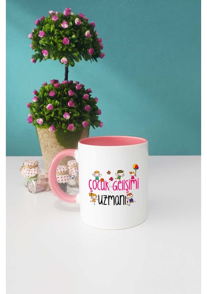 Çocuk Gelişimi Uzmanı Hediye Pembe Kupa Bardak Dekoratif Taş Anahtarlık fiyatları