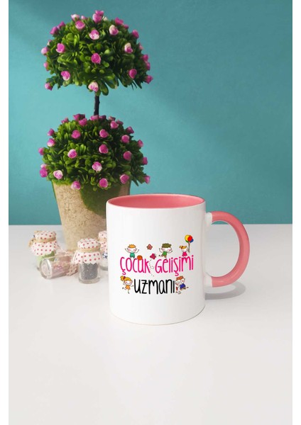 Çocuk Gelişimi Uzmanı Hediye Pembe Kupa Bardak Dekoratif Taş Anahtarlık modelleri