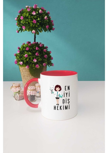 En Iyi Diş Hekimi Hediye Kırmızı Kupa Bardak Dekoratif Taş fiyatları