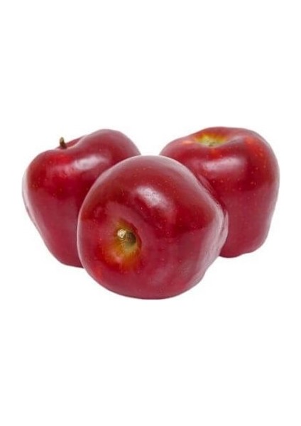 Red Chief Elma Fidanı 3 Yaş Tüplü ve Aşılı