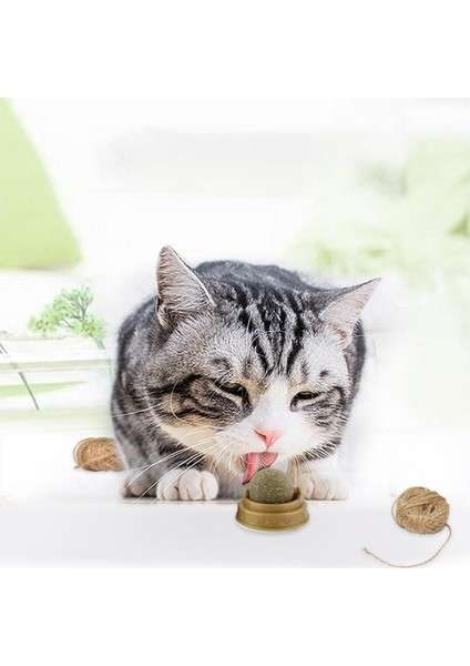 Kediler Için Doğal Catnip Kedi Otu Oyuncakları 3 Adet