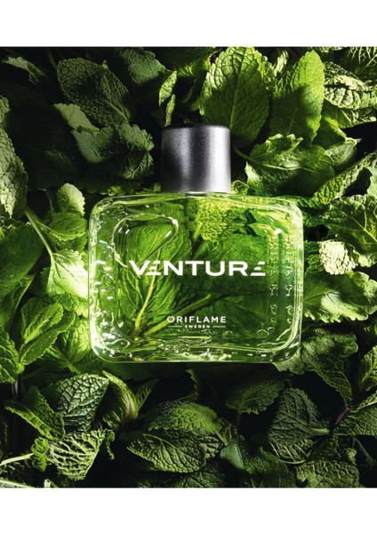 Venture Edt Serinlik Veren Erkeksi Parfüm fırsatları