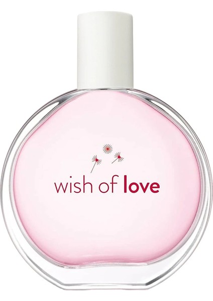 Full Speed Erkek Parfüm 75 ml ve Wish Of Love Edt 50 ml Kadın Parfüm Paketi