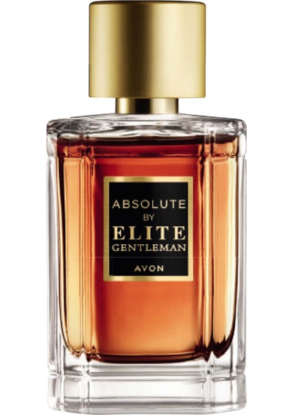 Perceive Edt 100ML Erkek Parfüm+Absolute By Elite Gentleman Edt 50ML Erkek Parfüm Seti 8681298 modelleri