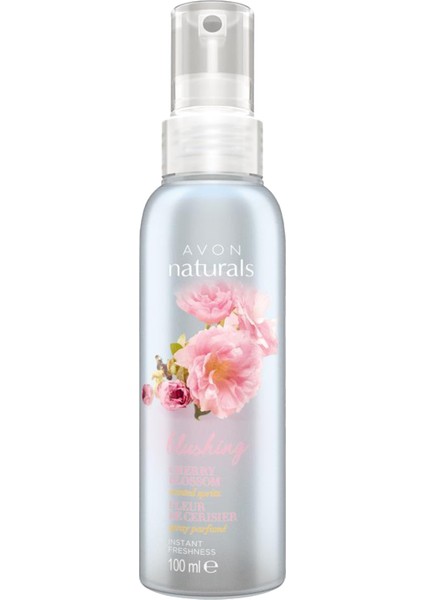 Today Kadın Parfüm Seti 5050000010399 fırsatları