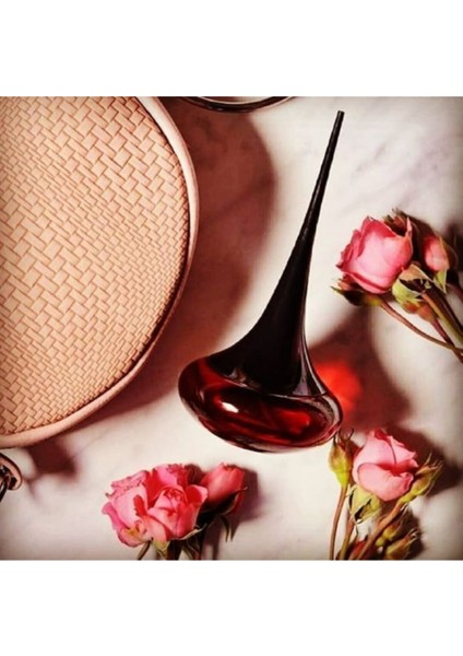 Love Potion 50 ml Edp Kadın Parfümü + Potion Vücut Kremi fiyatları