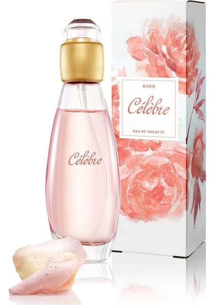 Pur Blanca Edt 50 ml Little Black Dress Edp 50 ml Celebre Edt 50 ml Kadın Parfüm Set 211515151