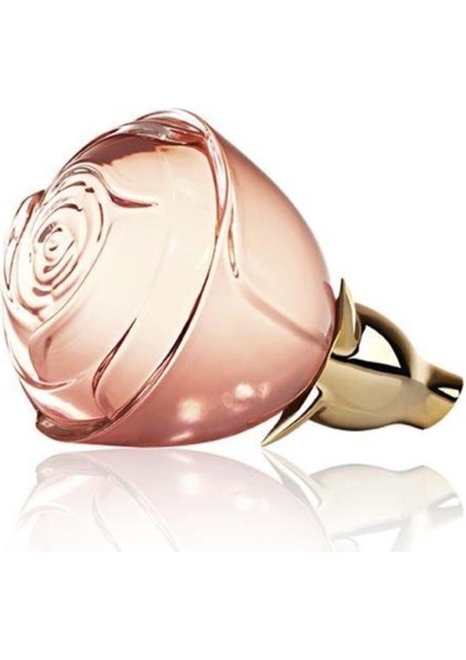 Volare Edp 50 ml Kadın Parfüm