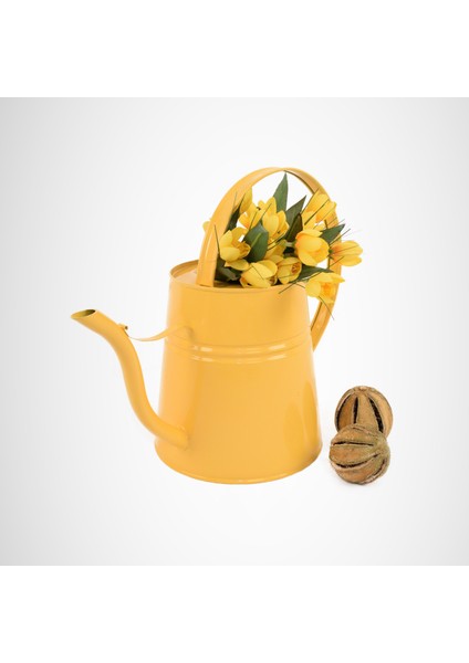 Çiçek Sulama Kabı Sophia Metal Sulak 2 Litre