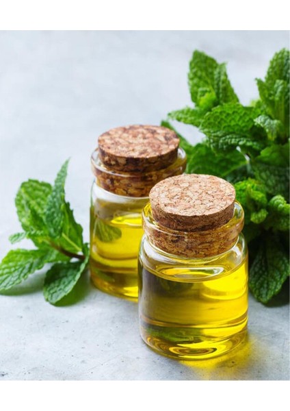Nane Yağı Distilasyon 20 ml 4 Adet fırsatları