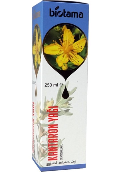 Kantaron Yağı 250ML