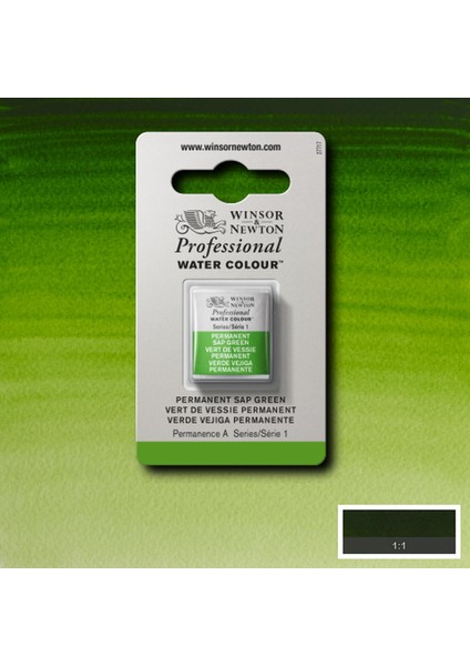 Professional Sulu Boya Yarım Tablet Perm. Sap Green 503 S.1