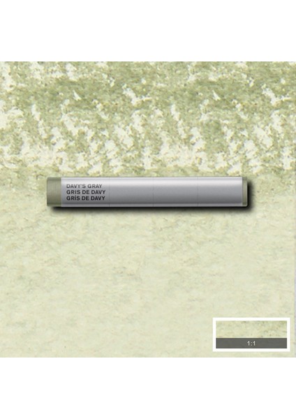 Professional Sulu Boya Çubuk Davy's Gray 217 S.1