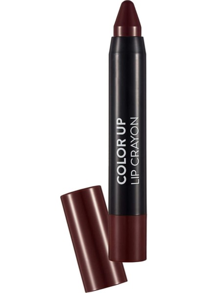 Color Up Lip Crayon Koyu Vişne Çürüğü Ruj 009 8690604503360