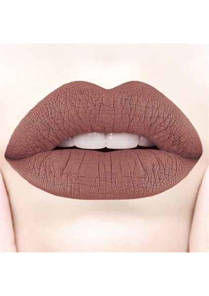 Daylong Lipcolor Kissproof Likit Mat Ruj No:42 fiyatları