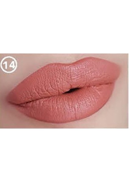 Farması Mat Ruj Matte Beıge 4g 14 fiyatları