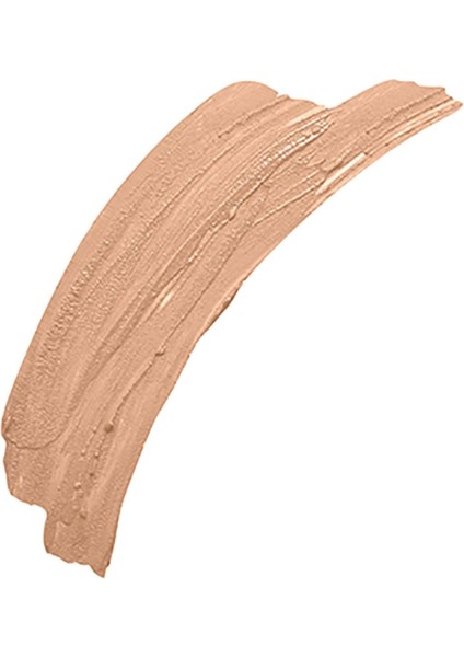 Pan Stick Foundation 13 Nouveau Beige