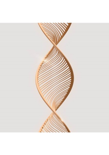 Giordani Gold Pure Úforia Yumuşak Dokulu Fondöten-Ivory fırsatları