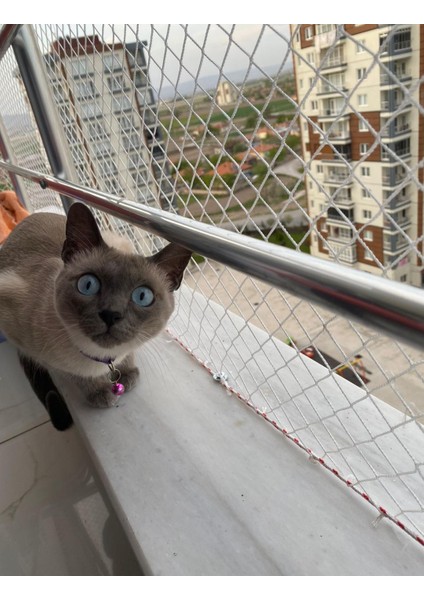 Kedi Filesi 1,5X12M Kedi Koruma Filesi Kuş Filesi Kuş Önleme Filesi Güvenlik Filesi
