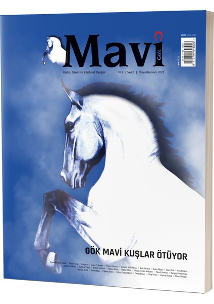 Mavi Gök Kültür Sanat ve Edebiyat Dergisi Sayı & 1