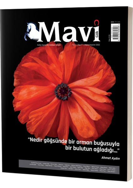 Mavi Gök Kültür Sanat ve Edebiyat Dergisi Sayı & 7