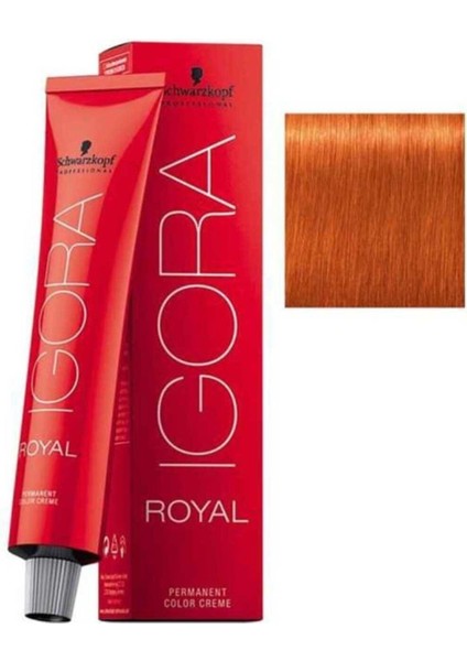 Igora Royal 8-77 60ml Saç Boyası