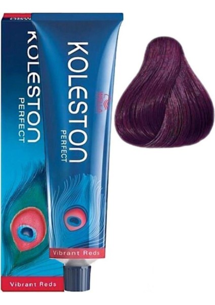 Menekşe Moru Koleston Perfect 55,66