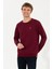 Erkek Vişne Sweatshirt 50256356-VR223 2