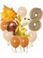 Sincap Sonbahar Woodland Orman Hayvanları Yaş Balon Konsept Doğum Günü Set Yaş Balon Set 1