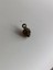 Üzüm Salkımı Metal Çinko Alaşım Kolye Ucu 12X5MM 10 Adet 3