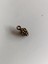 Üzüm Salkımı Metal Çinko Alaşım Kolye Ucu 12X5MM 10 Adet 4