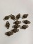 Gül Metal Çinko Alaşım Kolye Ucu 18X3MM 10 Adet 1