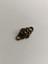 Gül Metal Çinko Alaşım Kolye Ucu 18X3MM 10 Adet 2