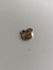 Elma Metal Çinko Alaşım Kolye Ucu 11X2MM 10 Adet Gri 3